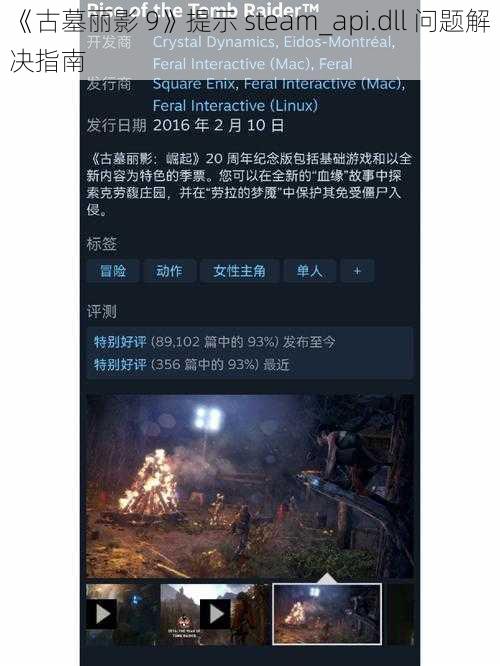 《古墓丽影 9》提示 steam_api.dll 问题解决指南