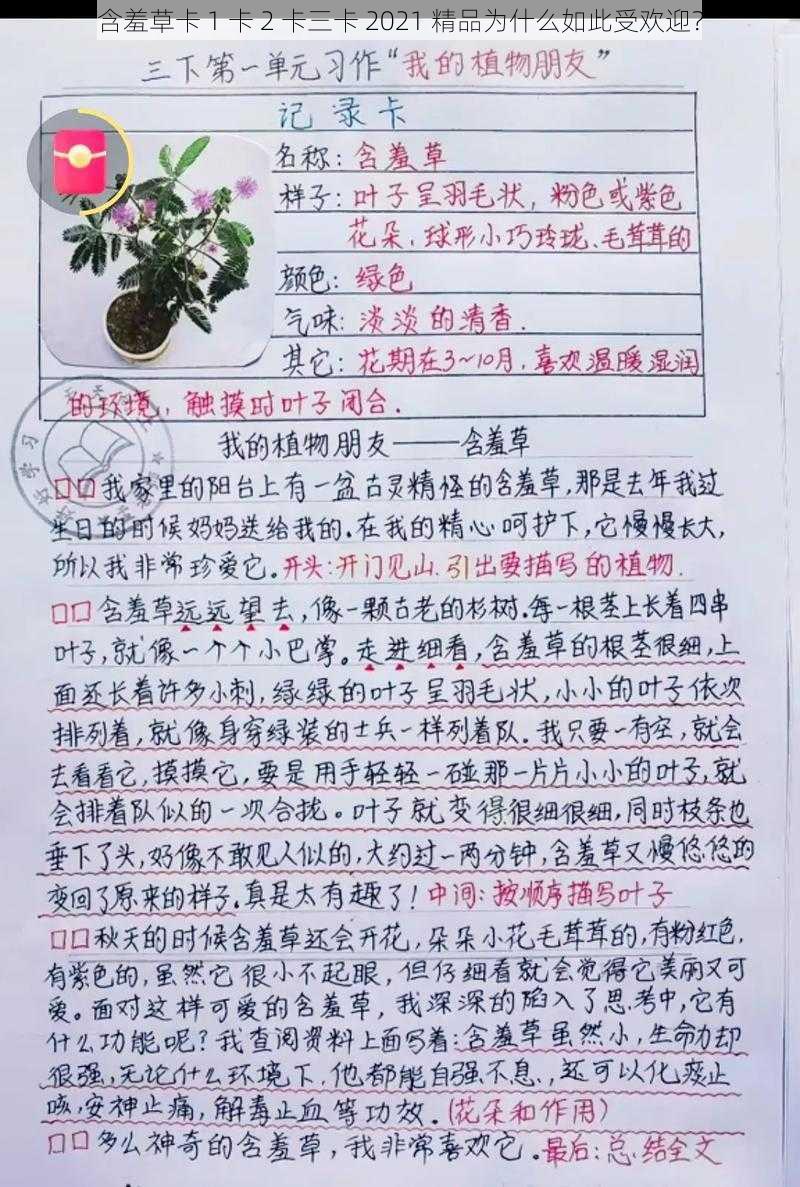 含羞草卡 1 卡 2 卡三卡 2021 精品为什么如此受欢迎？