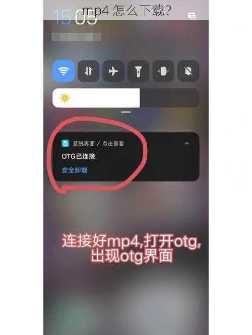 mp4 怎么下载？