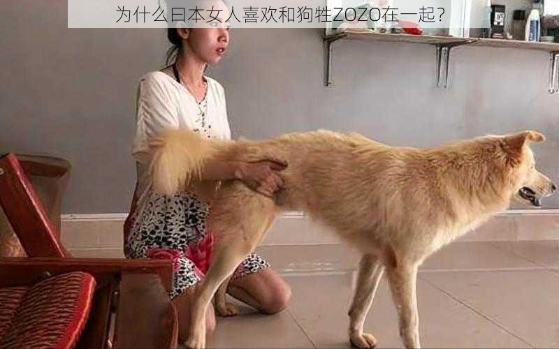 为什么曰本女人喜欢和狗牲ZOZO在一起？