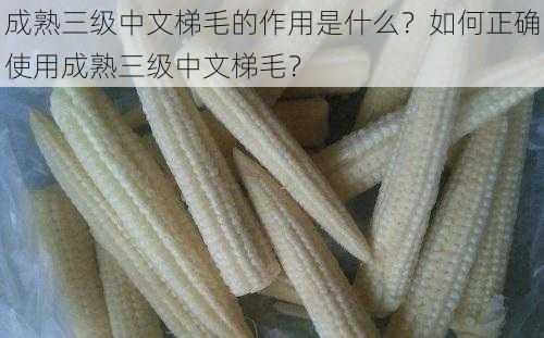 成熟三级中文梯毛的作用是什么？如何正确使用成熟三级中文梯毛？