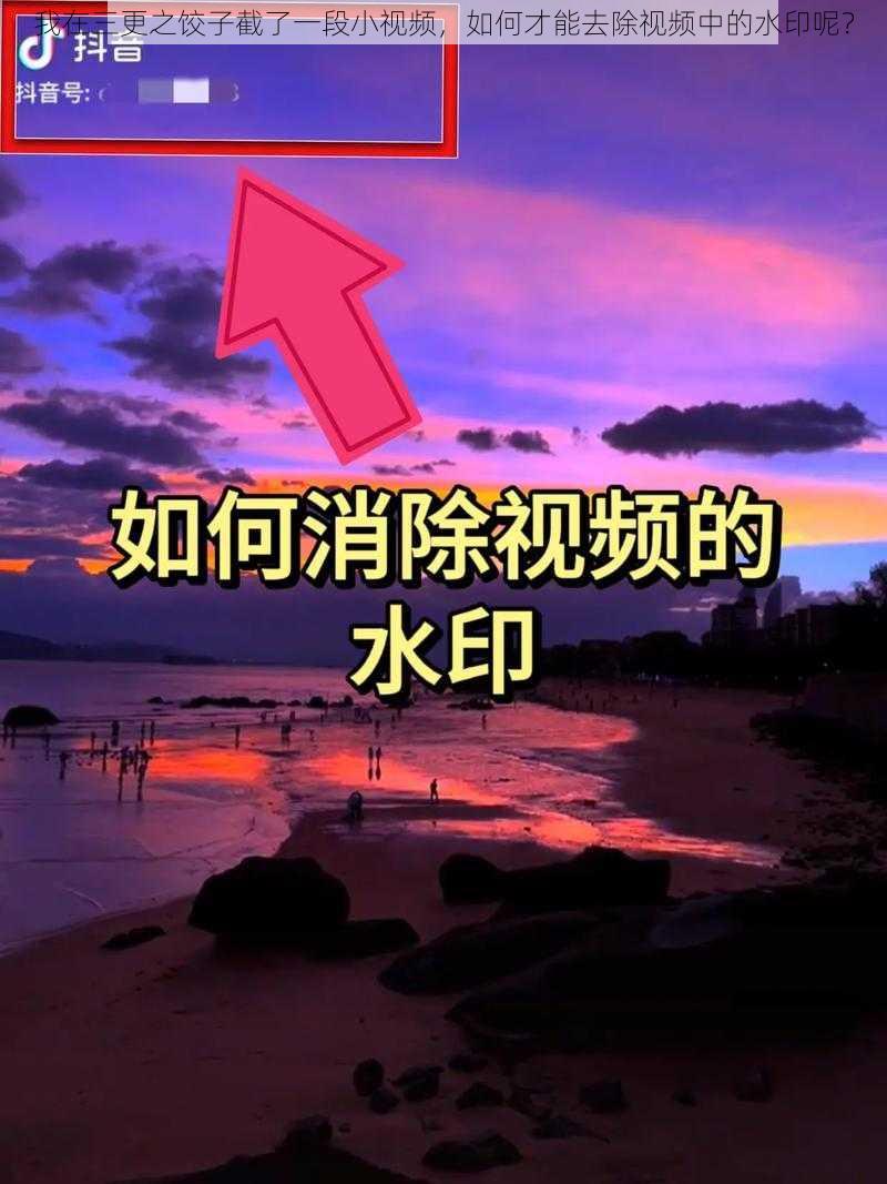 我在三更之饺子截了一段小视频，如何才能去除视频中的水印呢？