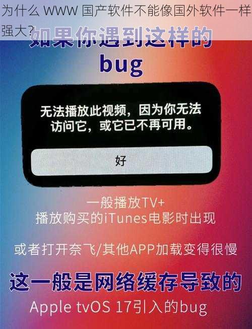 为什么 WWW 国产软件不能像国外软件一样强大？