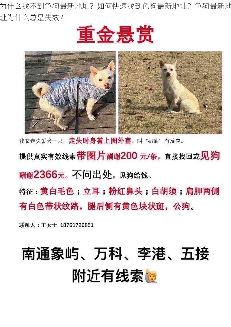 为什么找不到色狗最新地址？如何快速找到色狗最新地址？色狗最新地址为什么总是失效？