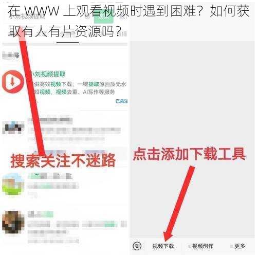 在 WWW 上观看视频时遇到困难？如何获取有人有片资源吗？