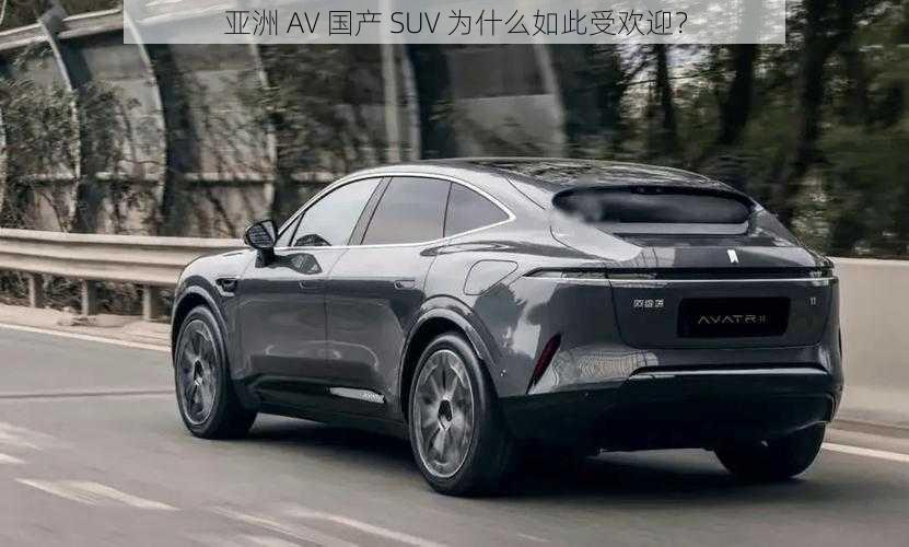 亚洲 AV 国产 SUV 为什么如此受欢迎？