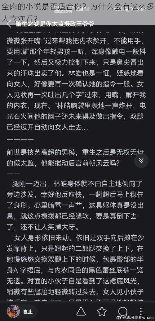 全肉的小说是否适合你？为什么会有这么多人喜欢看？