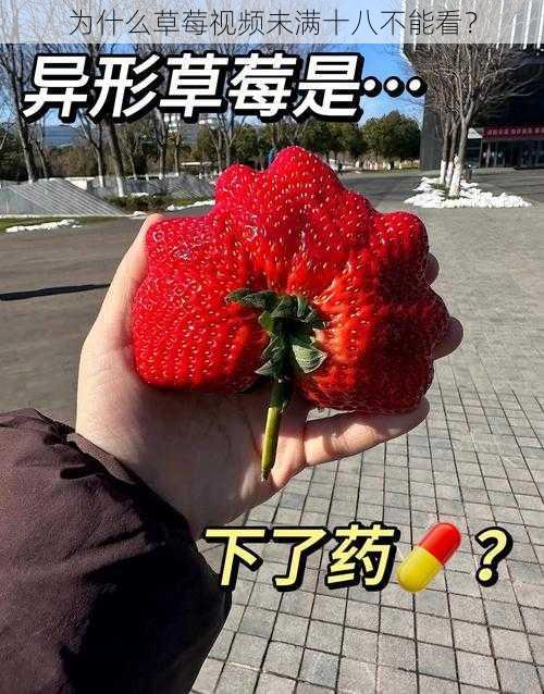 为什么草莓视频未满十八不能看？