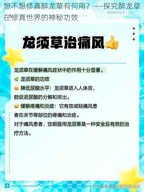 想不想修真醉龙草有何用？——探究醉龙草在修真世界的神秘功效