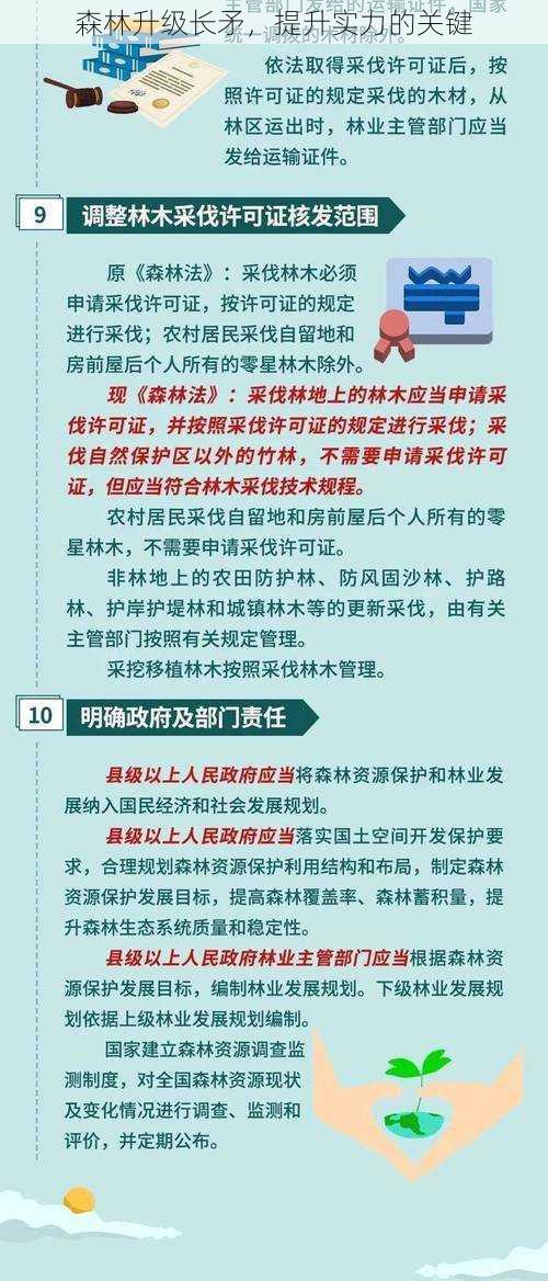 森林升级长矛，提升实力的关键