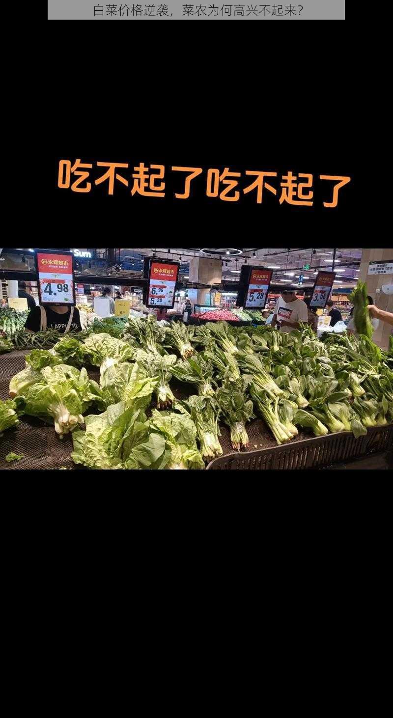 白菜价格逆袭，菜农为何高兴不起来？