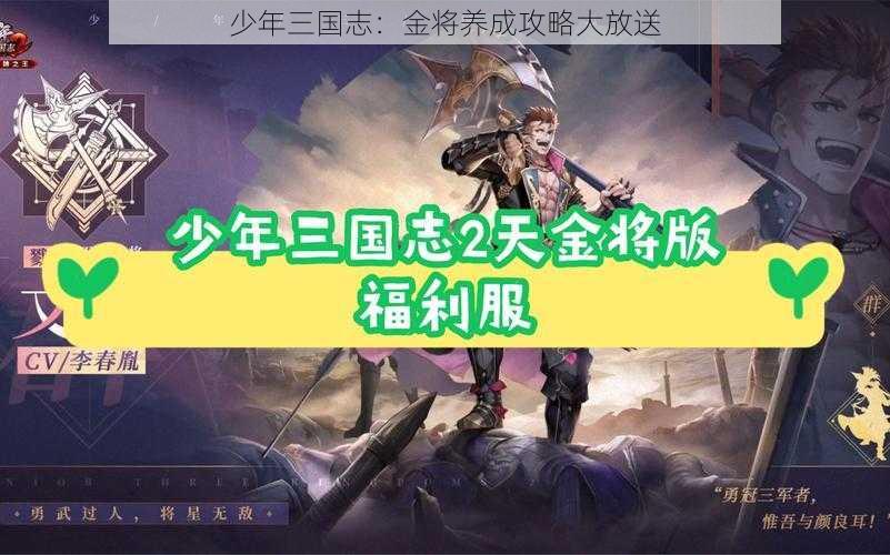 少年三国志：金将养成攻略大放送